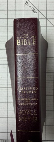 The everyday life bible - the,